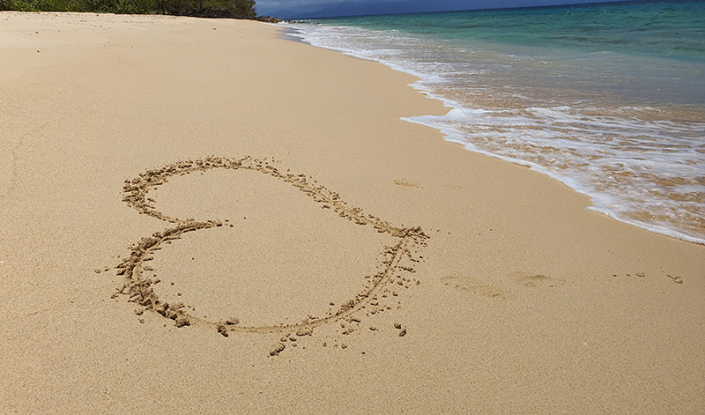 CONCIERGERIE MARIE GALANTE