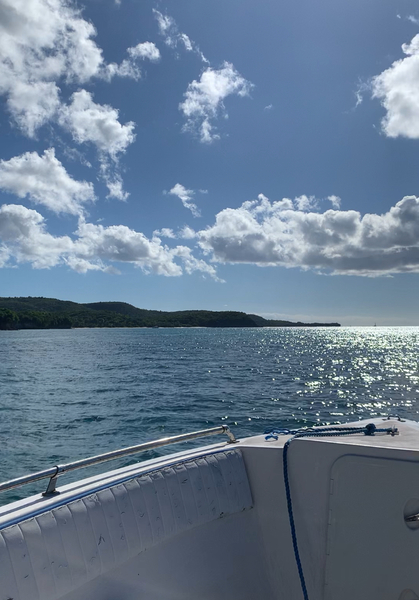 Excursion bateau moteur